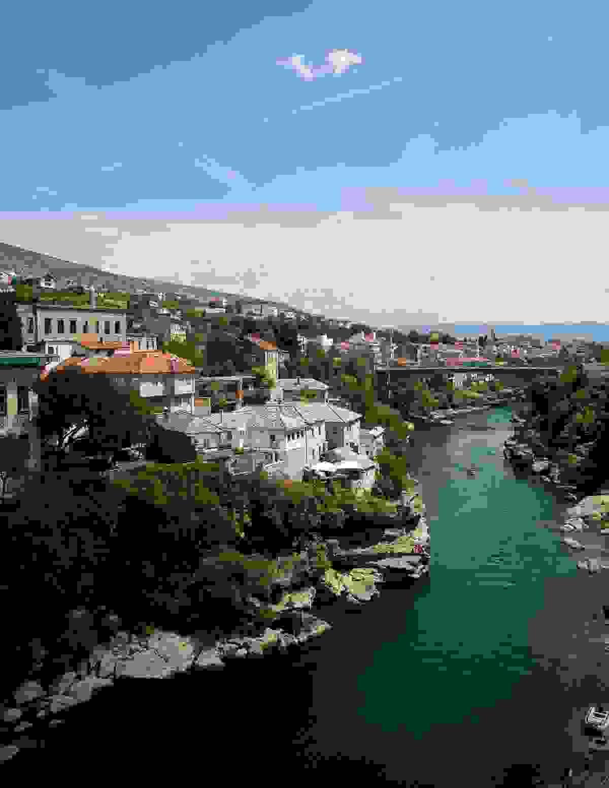 Section image