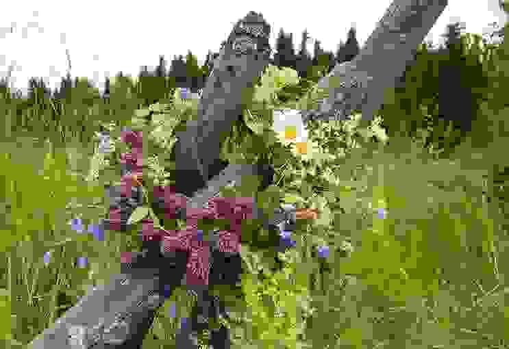 Section image