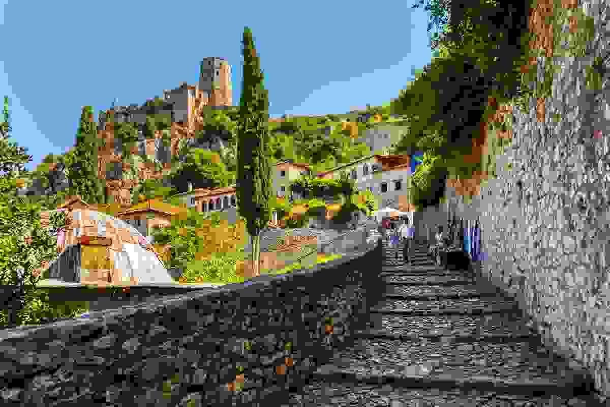 Section image