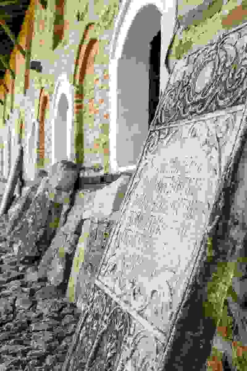 Section image