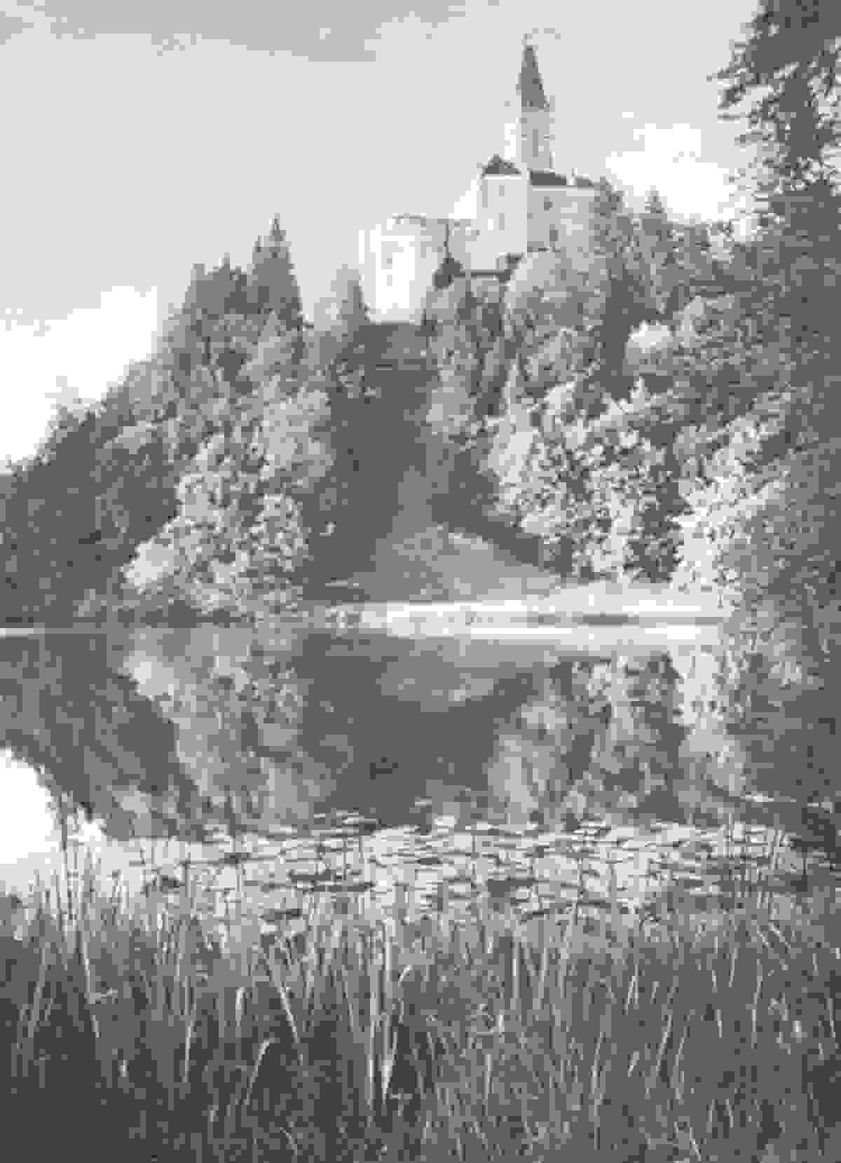 Section image