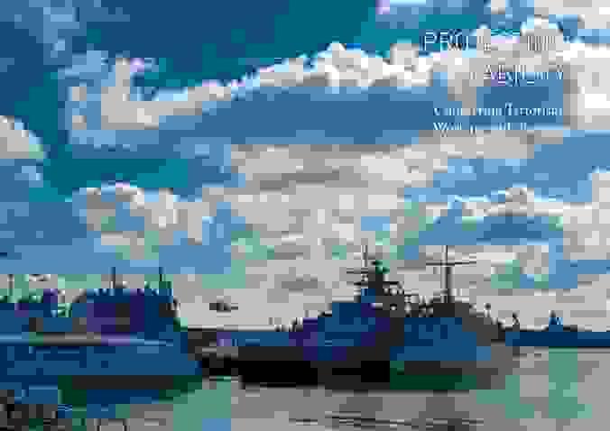 Section image