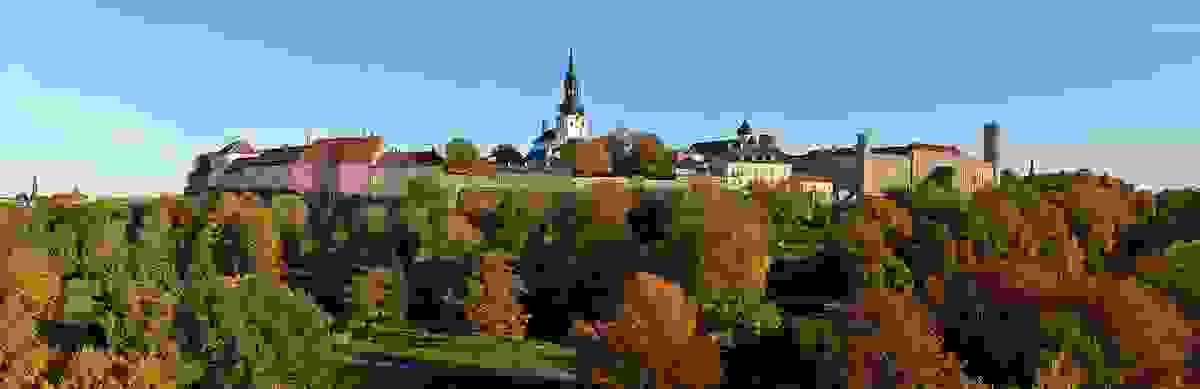 Section image