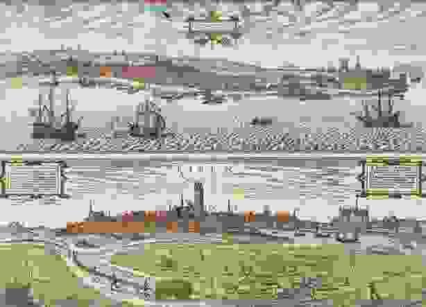 Section image