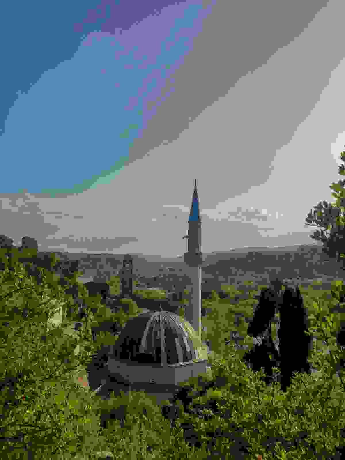 Section image