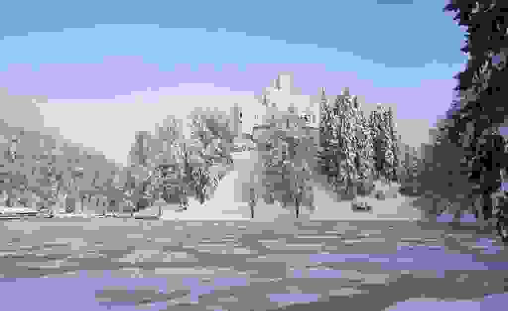 Section image