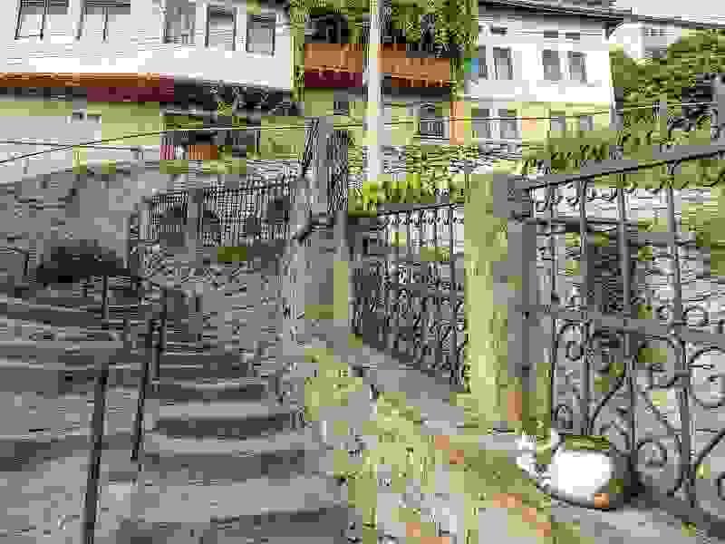Section image