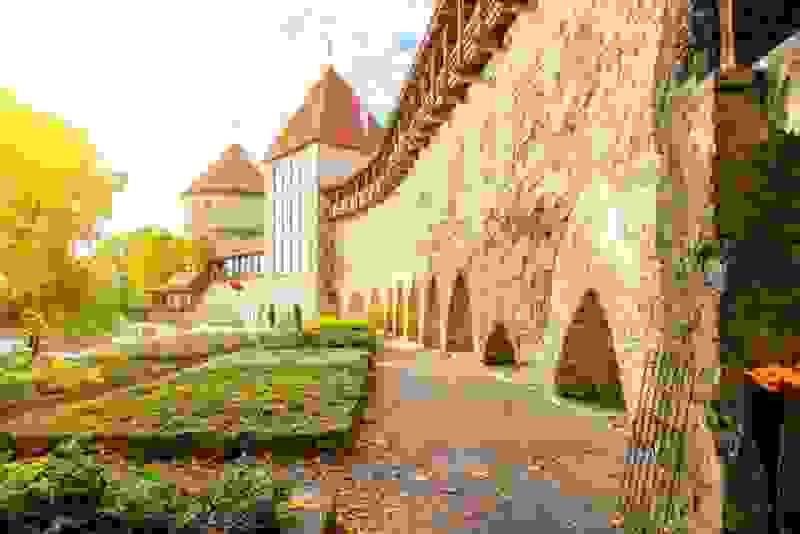 Section image