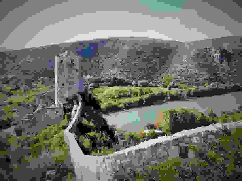 Section image