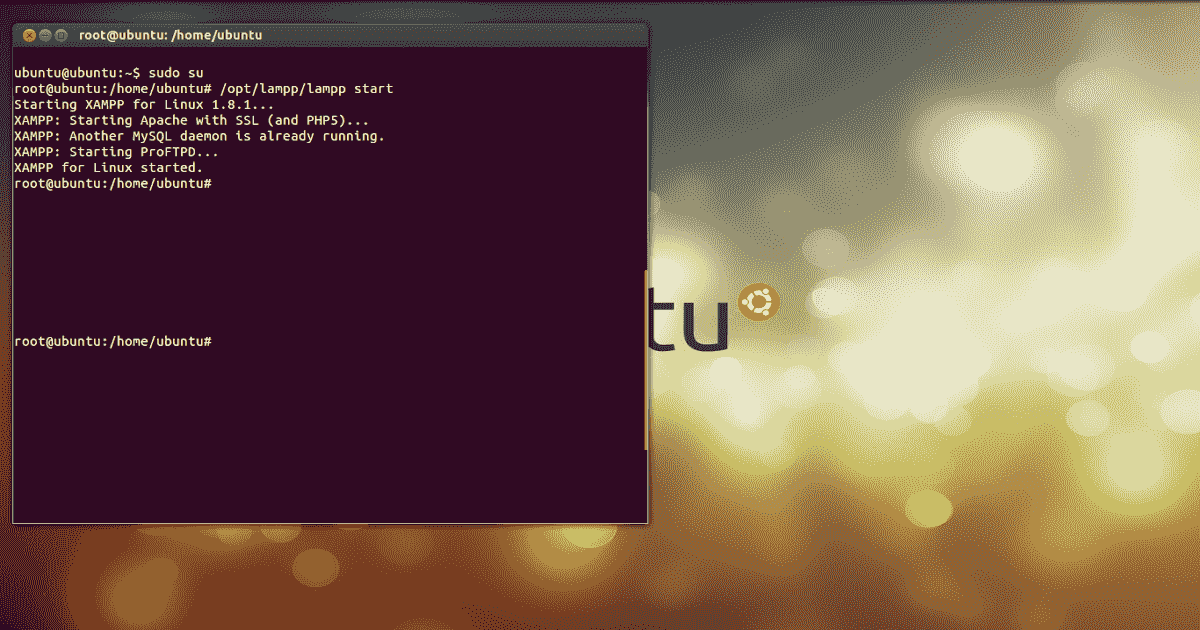 how-to-start-xampp-from-terminal-in-ubuntu