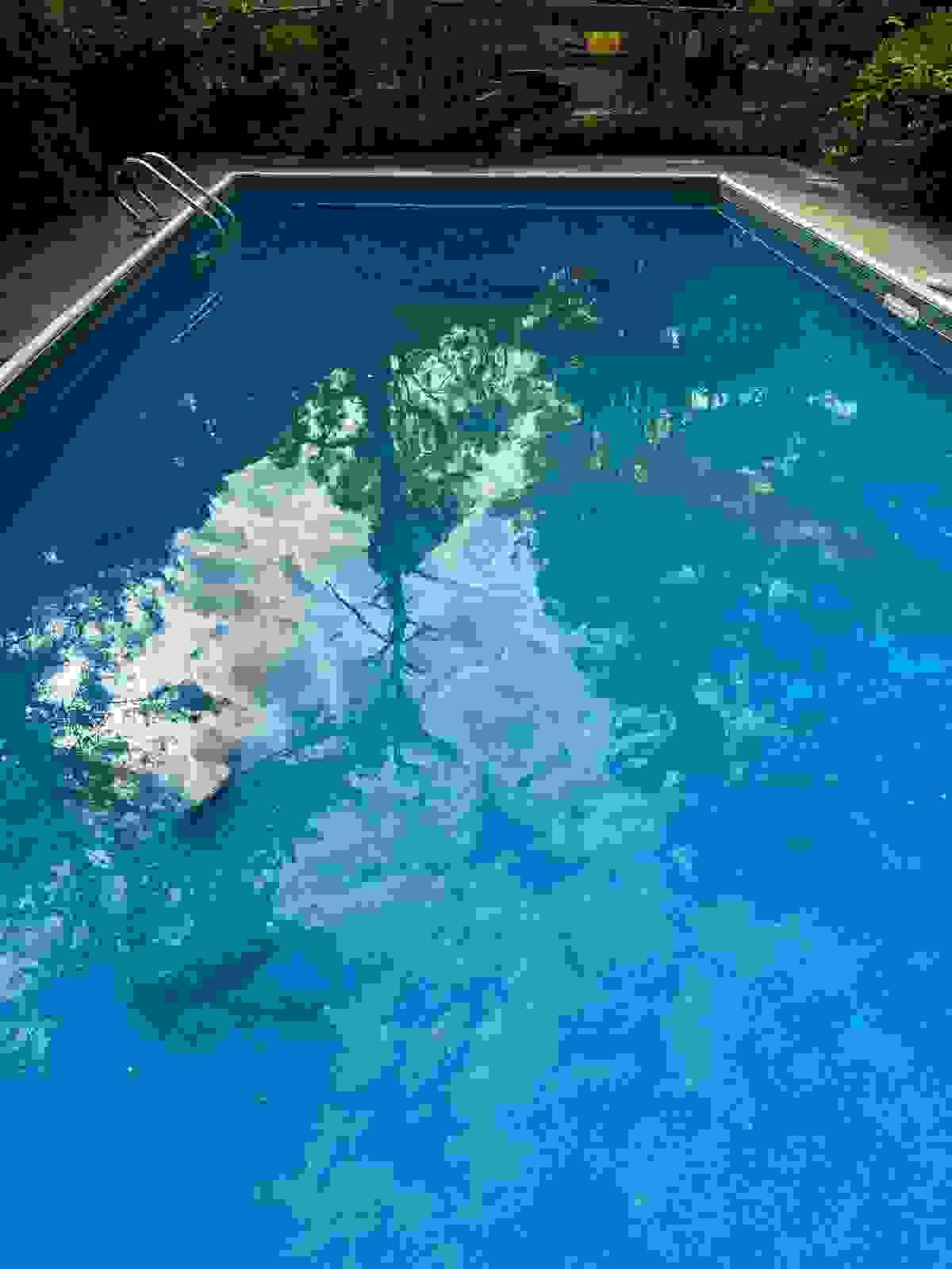 Section image