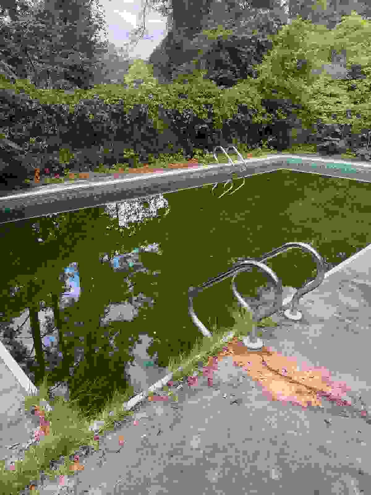 Section image