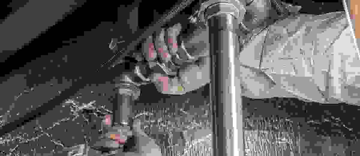 Section image