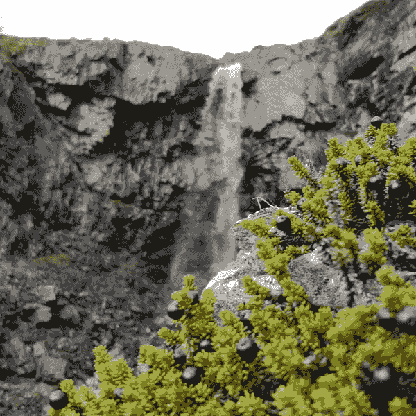 Section image