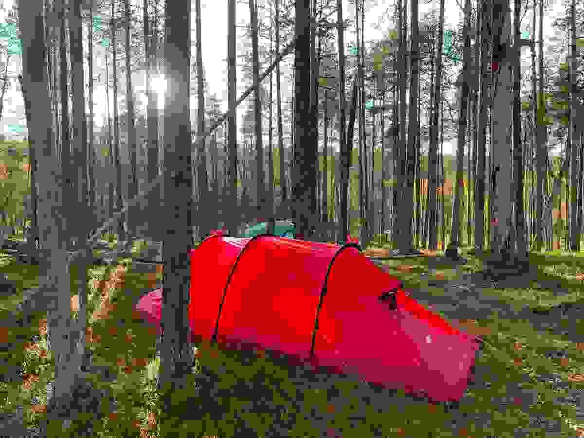 Section image
