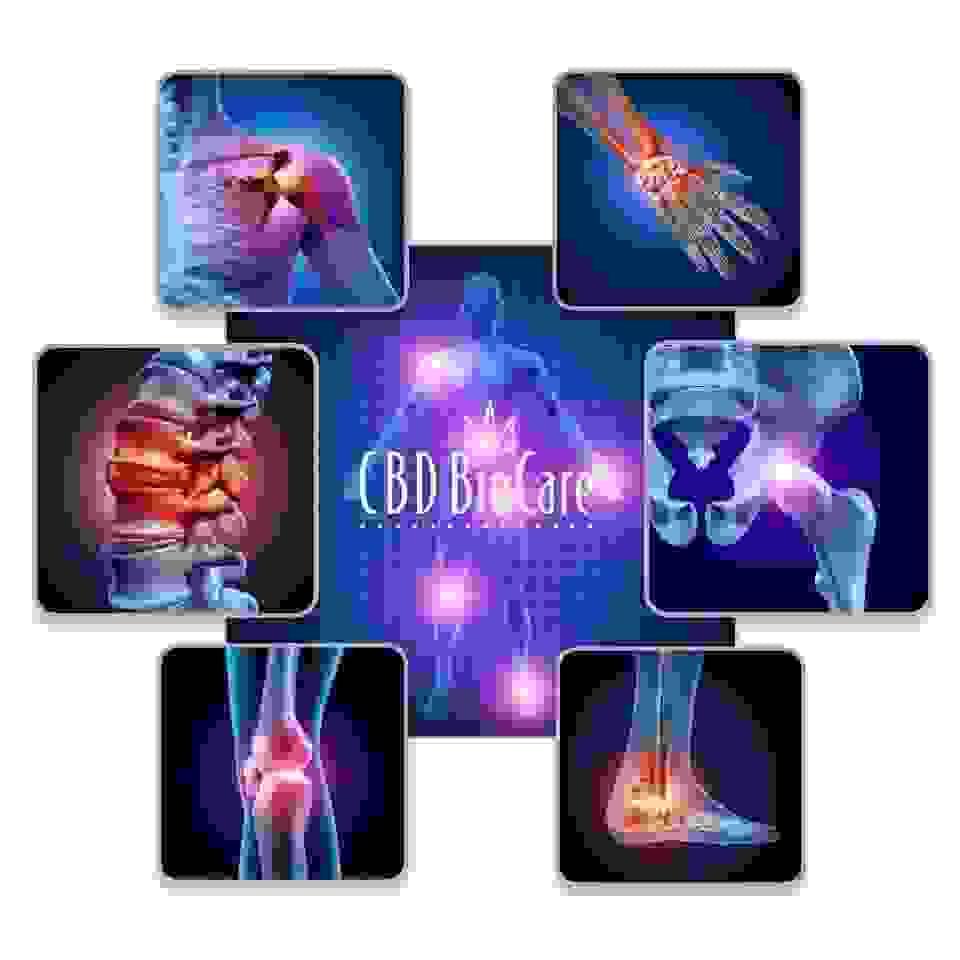 Explore our unique blends of cannabinoids that combine the best properties of CBD, THC, and other beneficial compounds. Our formulations are designed to target specific needs, whether it’s for pain relief, stress reduction, or overall wellness. Dive into our innovative range and find your perfect blend. Innovative Cannabinoid Blends What We Offer Cannabis CBD, THC, & Other Cannabinoid Products!