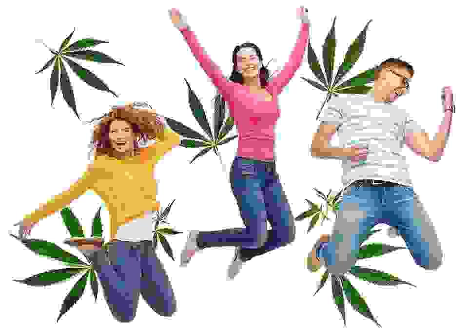 Our CBD products are crafted with care, ensuring the highest quality and purity. We believe in harnessing the natural benefits of hemp to support your wellness journey. Explore our selection of oils, edibles, and topicals that can help enhance your daily routine. High-Quality CBD Products What We Offer Cannabis CBD, THC, & Other Cannabinoid Products!
