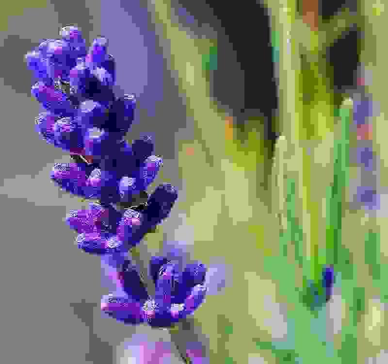 9 39;O Clock Telugu Movie In Hindi Download Dalessio Pr...