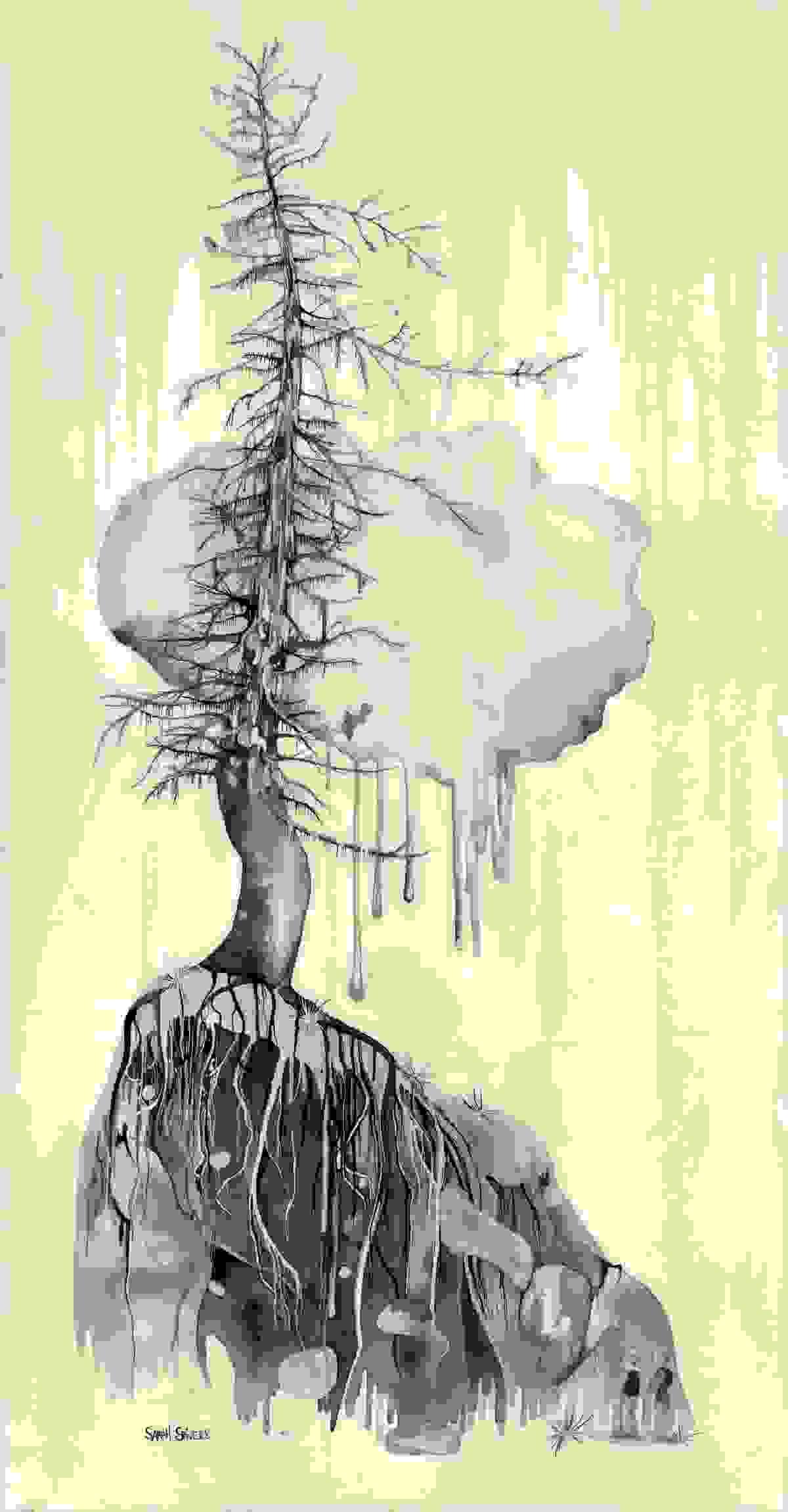 Section image