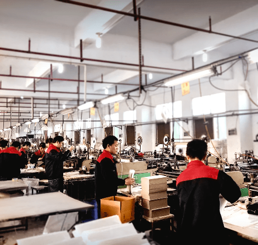 Protect and Preserve: Premium Sheet Protectors by MIFIA