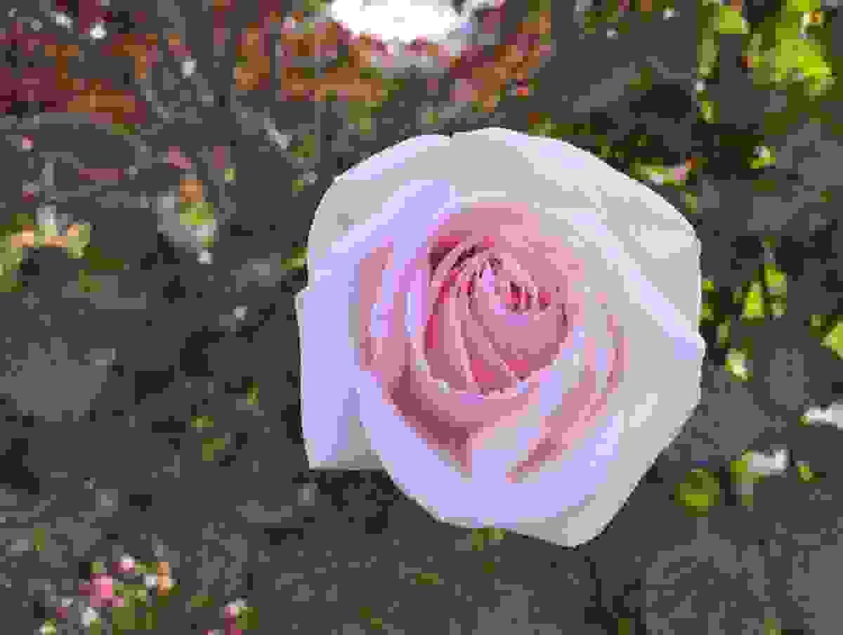 Section image