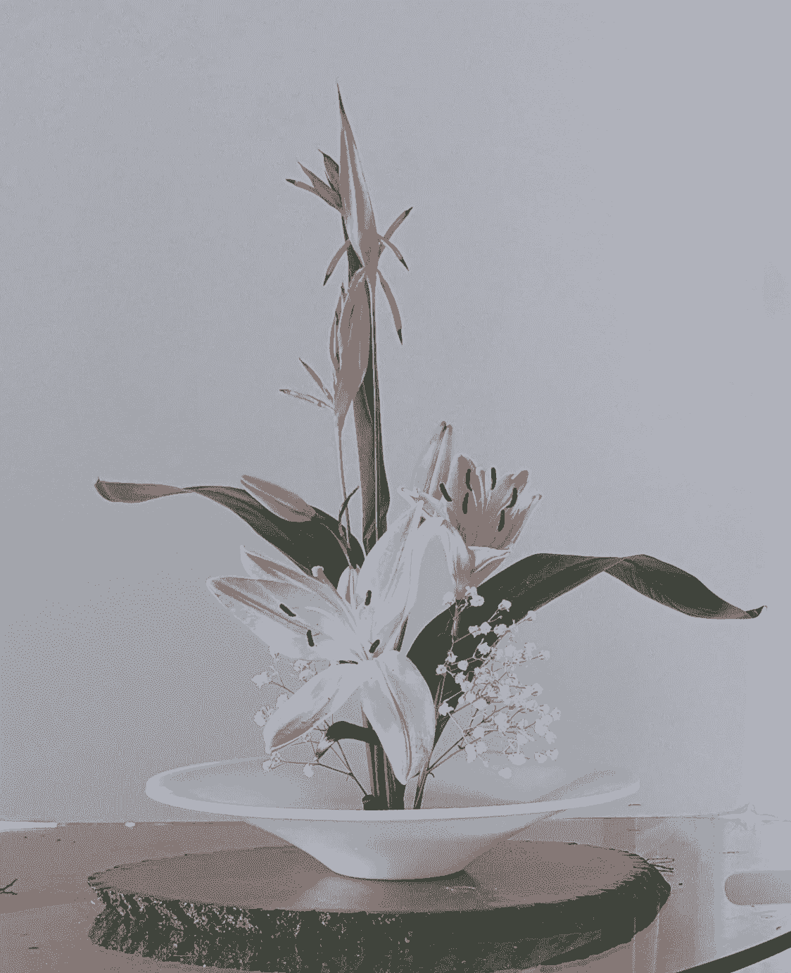 Become part of a vibrant community of Ikebana practitioners across North and Central America. Our platform encourages collaboration, sharing of ideas, and networking opportunities, helping you to connect with like-minded individuals who share your passion for this exquisite art. Community Connections What We Offer Sakura Virtual Ikebana Community is an online-based group dedicated to sharing,
learning, and celebrating the art of Ikebana. Rooted in the principles of beauty, self-
expression, and cultural appreciation, this community connects ikebanists in North and
Central America and beyond through virtual presentations from various Ikebana
schools, and Japanese cultural programs, fostering a welcoming space for beginners
and experienced practitioners alike. Become part of a vibrant community of Ikebana practitioners across North and Central America. Our platform encourages collaboration, sharing of ideas, and networking opportunities, helping you to connect with like-minded individuals who share your passion for this exquisite art. Community Connections What We Offer Sakura Virtual Ikebana Community is an online-based group dedicated to sharing,
learning, and celebrating the art of Ikebana. Rooted in the principles of beauty, self-
expression, and cultural appreciation, this community connects ikebanists in North and
Central America and beyond through virtual presentations from various Ikebana
schools, and Japanese cultural programs, fostering a welcoming space for beginners
and experienced practitioners alike.