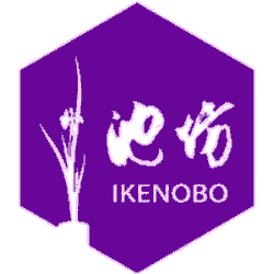 broken image