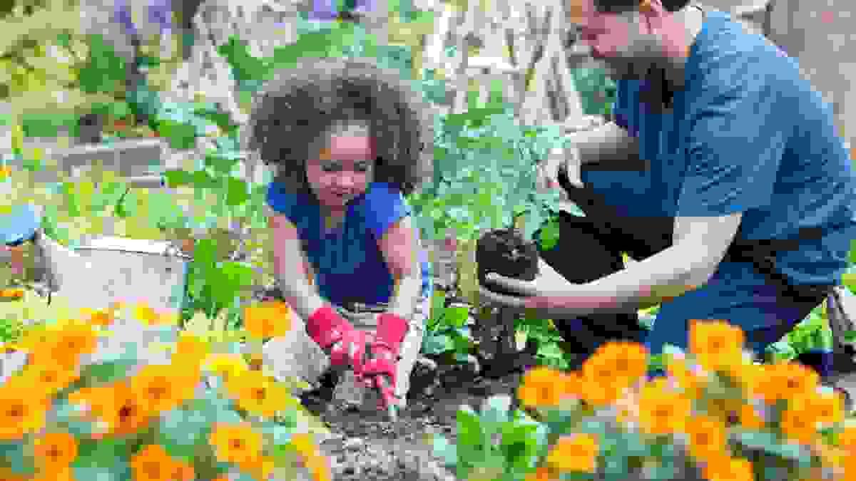 Father and daughter gardening together