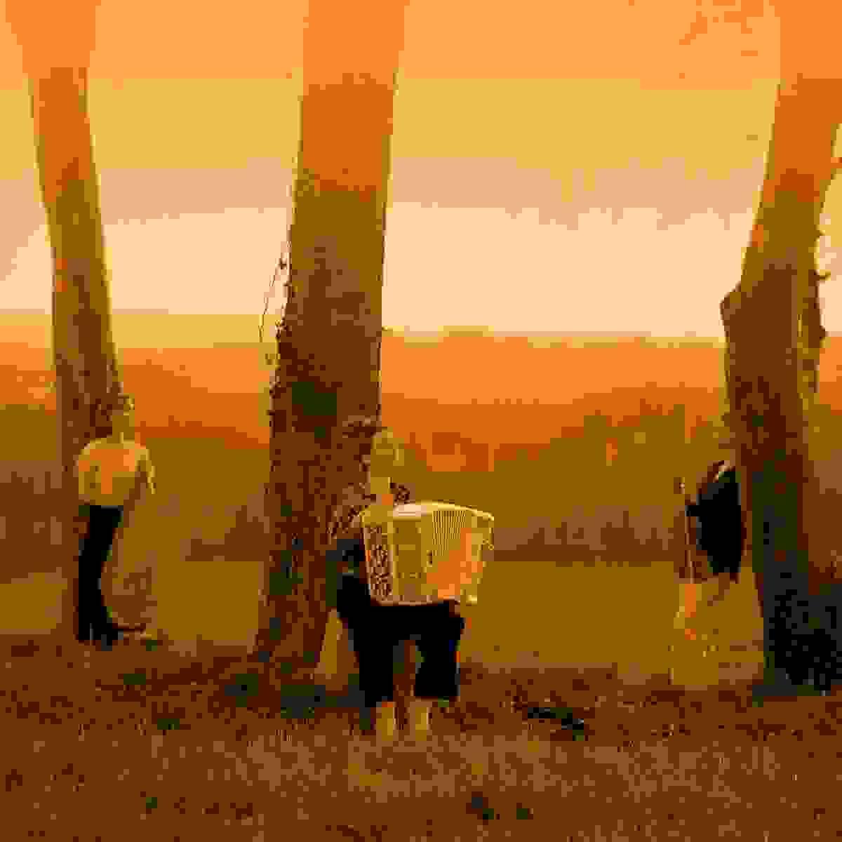 Section image