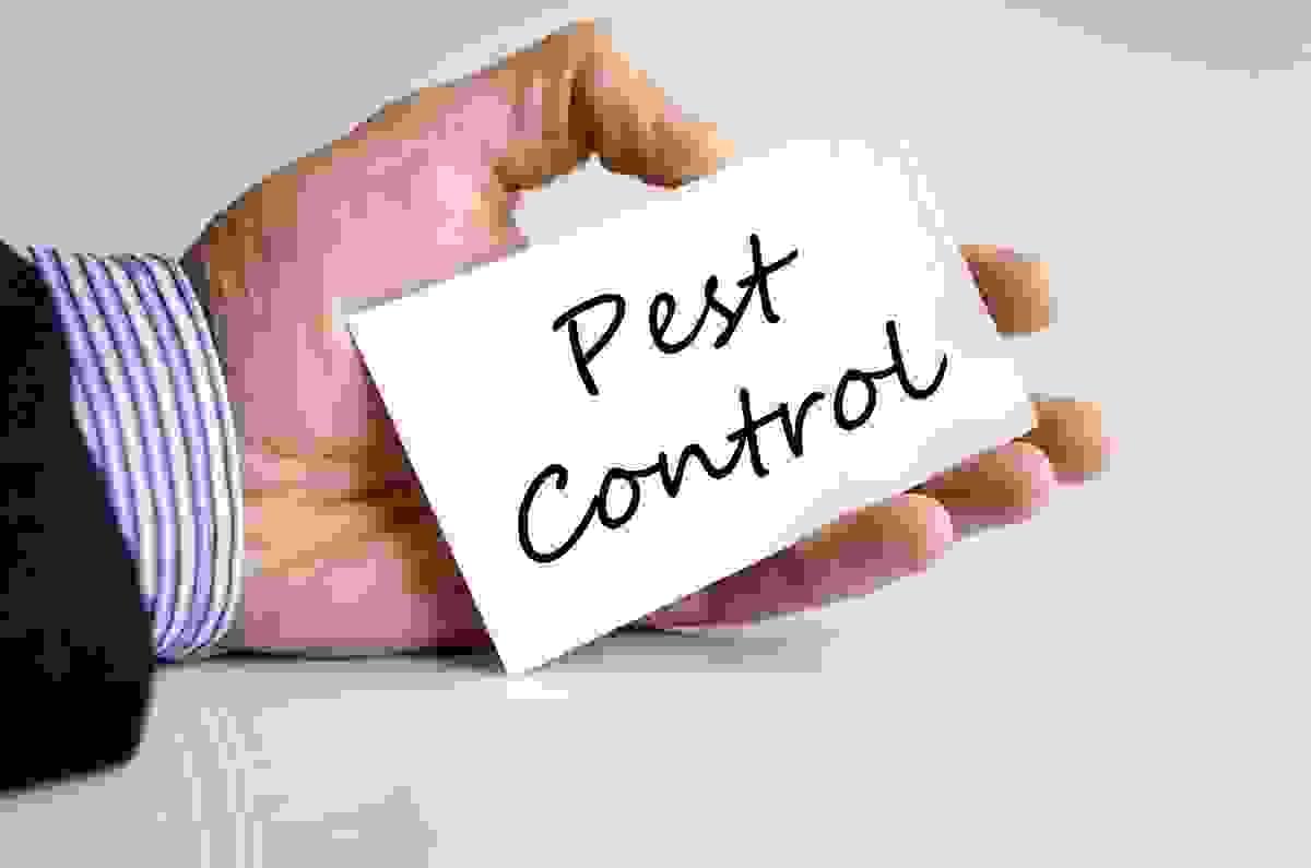 What is the Average Cost for Pest Control Service?