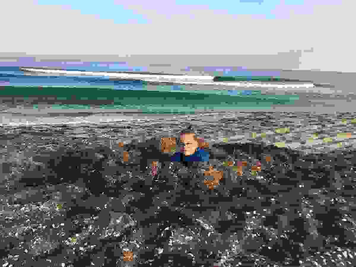 Section image
