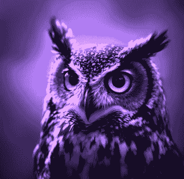 Zweetkamertje Academie gebouw Universiteit Leiden Zweetkamertje Academie gebouw Universiteit Leiden