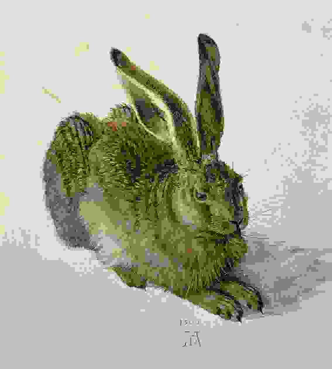 Feldhase (aquarel 1502) van Albrecht Dürer Feldhase (aquarel 1502) van Albrecht Dürer