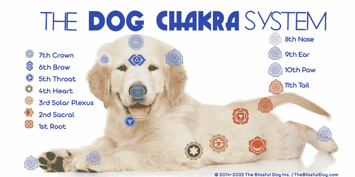 vibrational-medicine-lightbody-of-a-human vibrational-medicine-lightbody-of-a-human