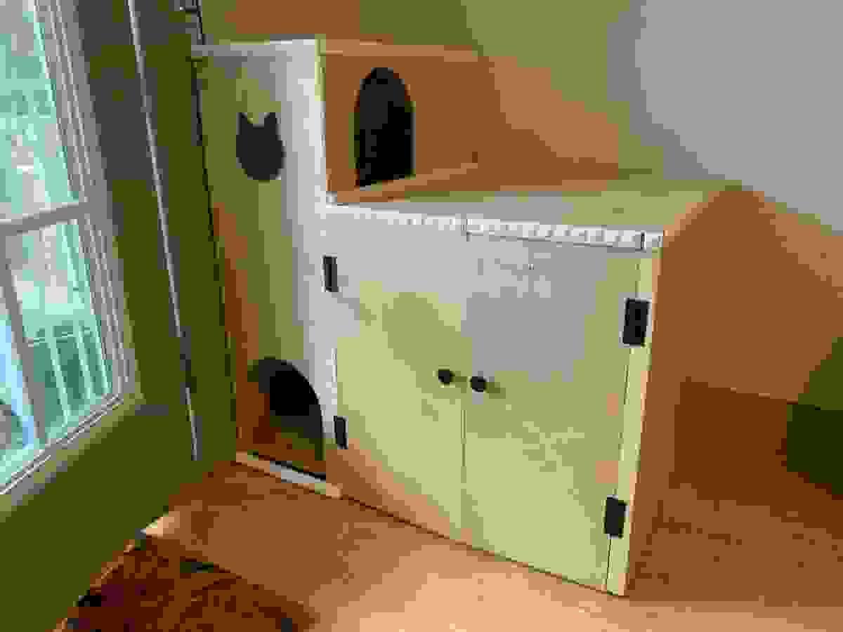 Section image