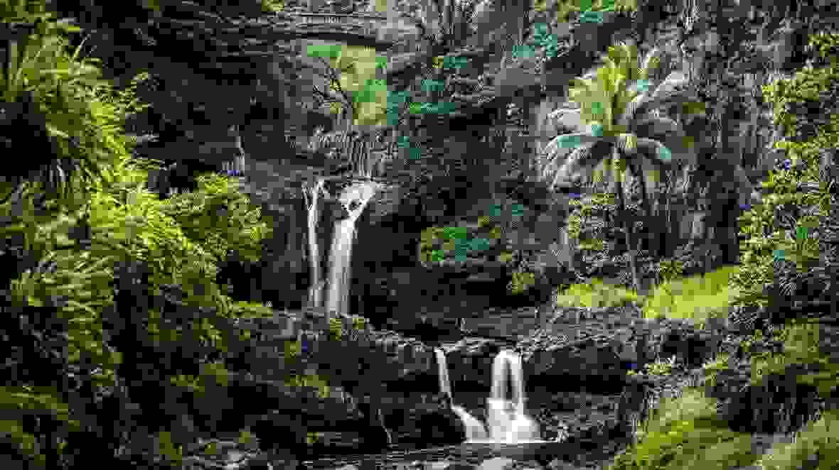 Section image