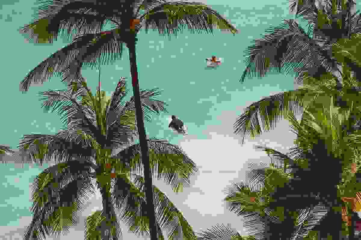Section image