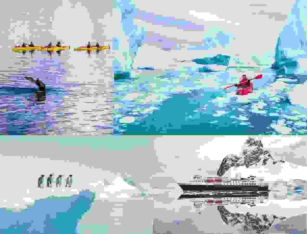 Section image