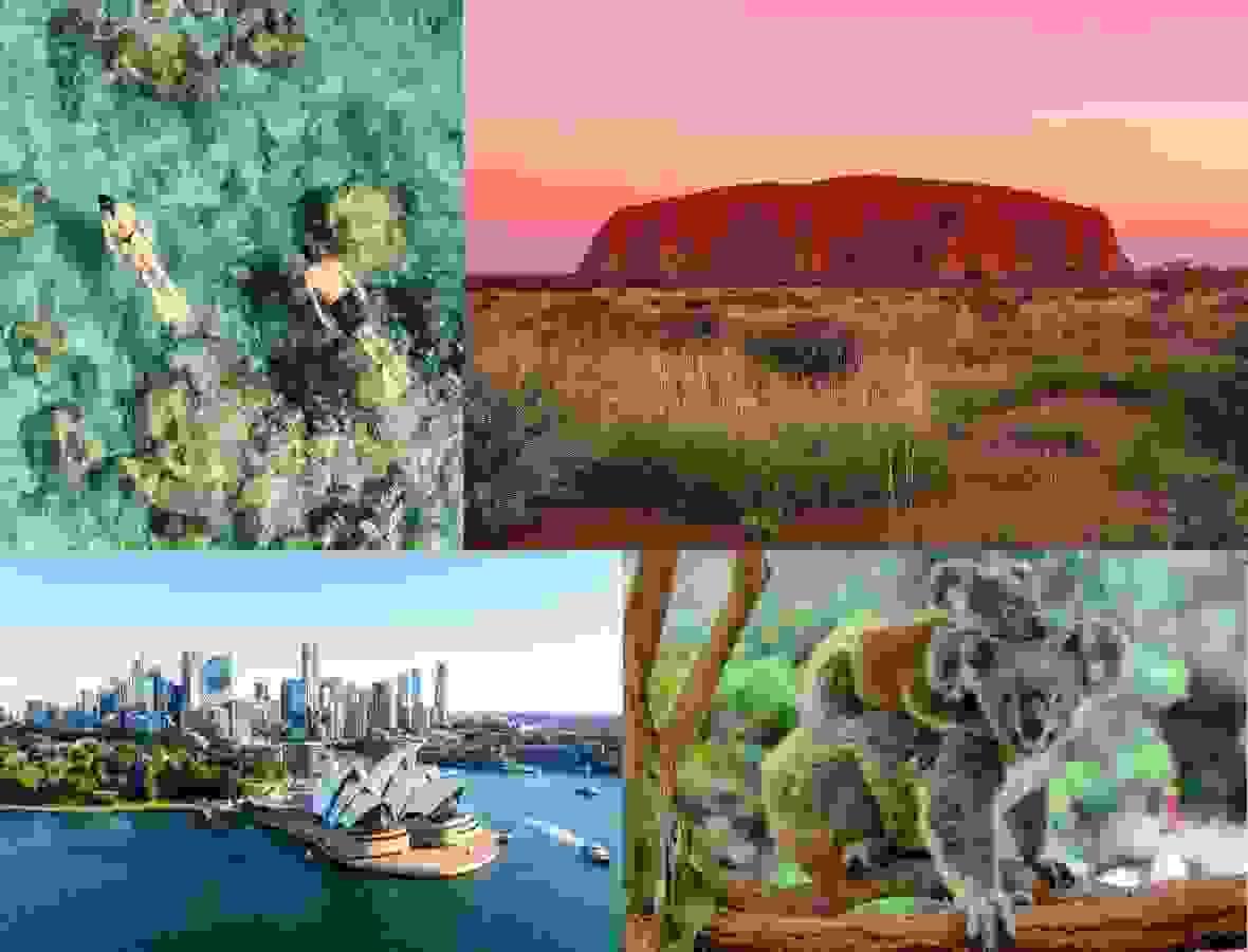 Section image