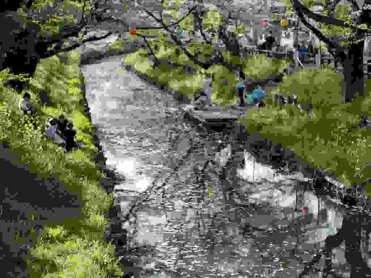 Section image