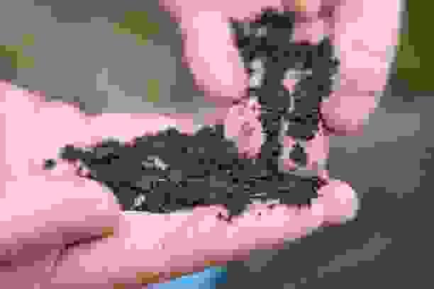 broken image