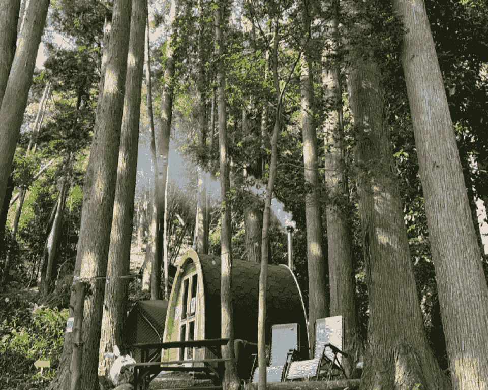 猫と暮らす古民家グランピング【和心村公式】|千葉富津・東京から1時間|サウナ&カフェも完備 千葉県富津市の豊かな自然に囲まれた和心村は、東京から車でわずか1時間、「人と動物と自然が調和する共生の村」をコンセプトにした唯一無二のグランピング 猫と暮らす古民家グランピング【和心村公式】|千葉富津・東京から1時間|サウナ&カフェも完備 千葉県富津市の豊かな自然に囲まれた和心村は、東京から車でわずか1時間、「人と動物と自然が調和する共生の村」をコンセプトにした唯一無二のグランピング