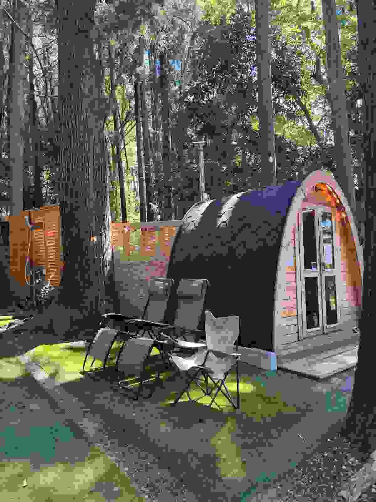 Section image