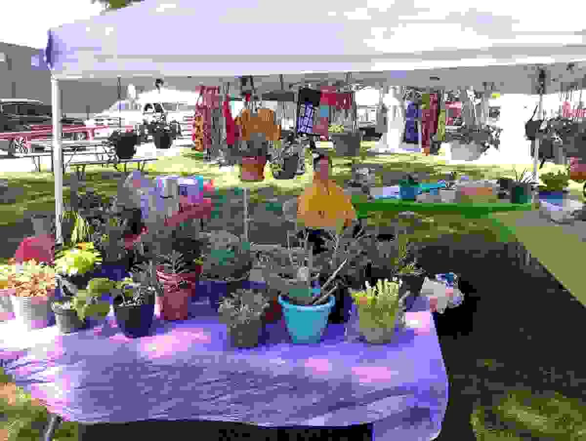 Section image
