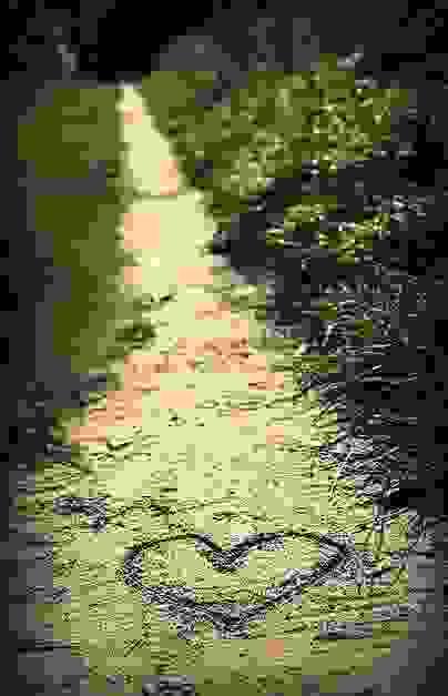 Section image