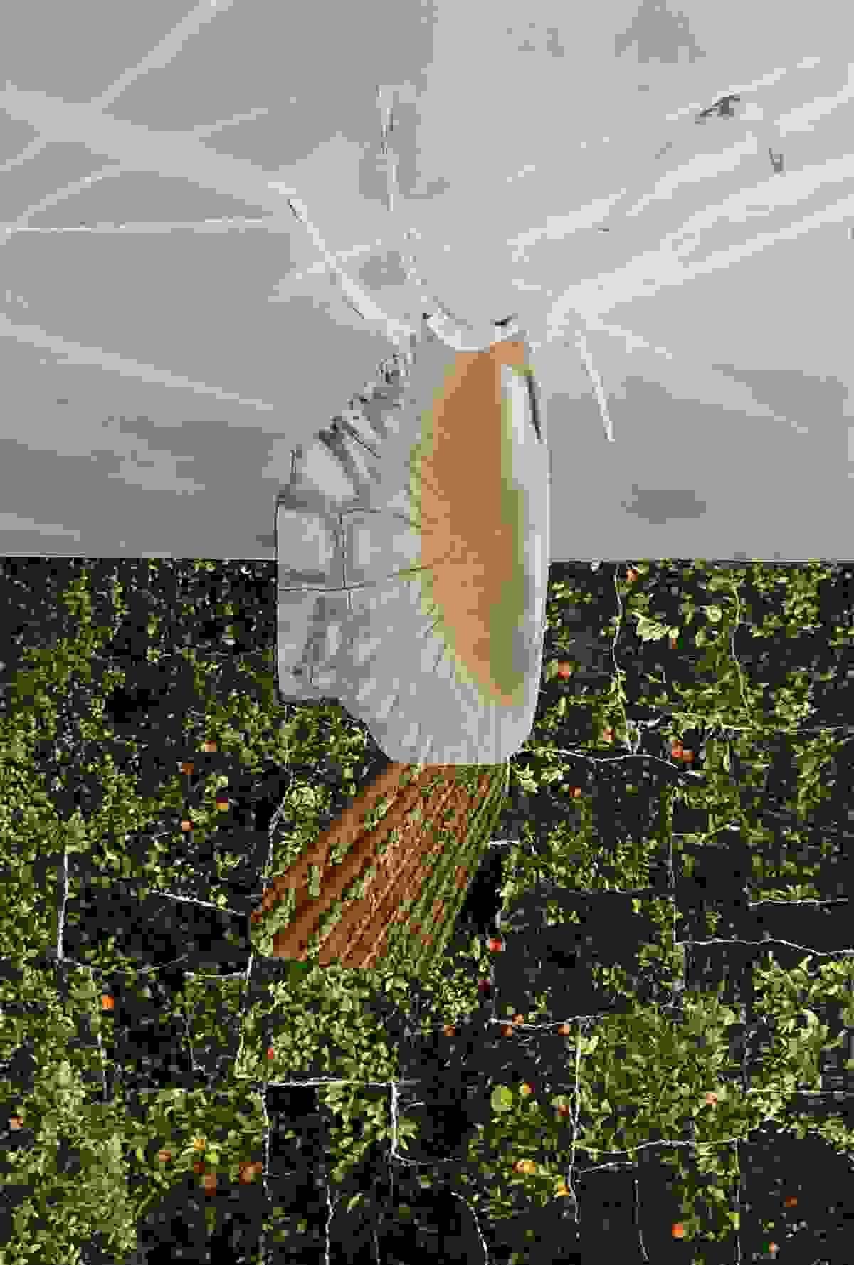 Circulación (Metabolización) - 19,7x29,4 cm - Silvia Estrems 2026 Circulación (Metabolización) - 19,7x29,4 cm - Silvia Estrems 2026