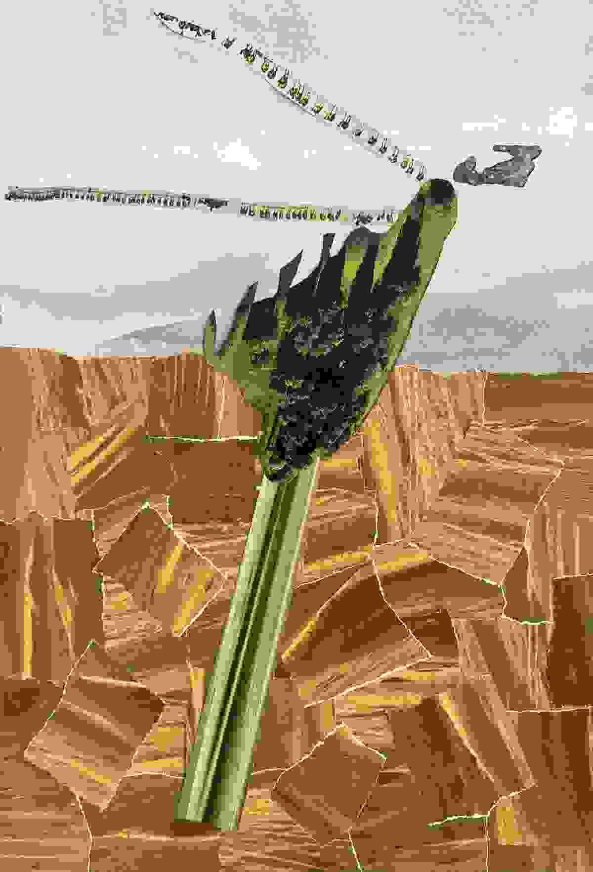 Fermentación (Metabolización) - 20,9x31 cm - Silvia Estrems 2026 Fermentación (Metabolización) - 20,9x31 cm - Silvia Estrems 2026