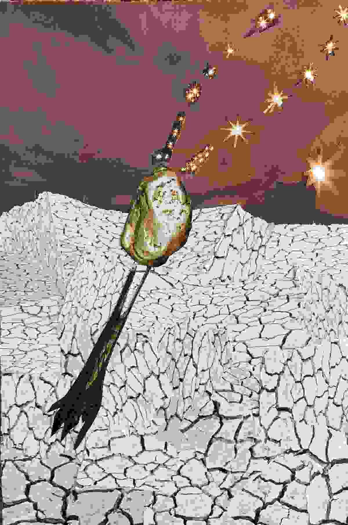 Ignición (Metabolización) - 21,2x31,2 cm - Silvia Estrems 2026 Ignición (Metabolización) - 21,2x31,2 cm - Silvia Estrems 2026