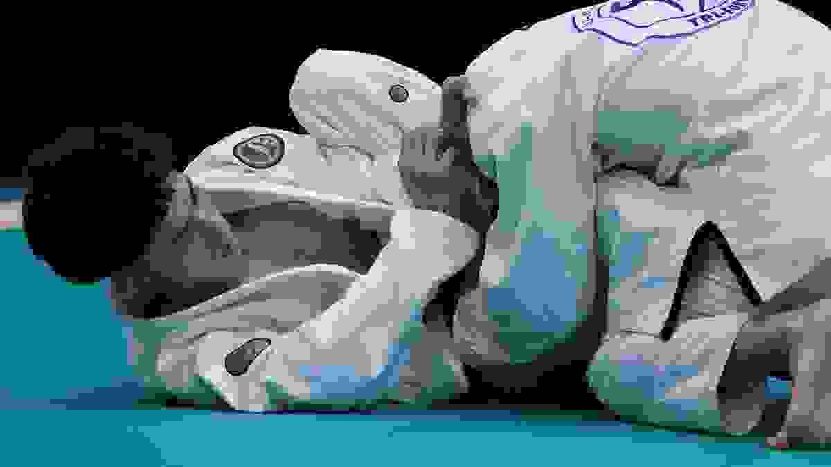 Section image