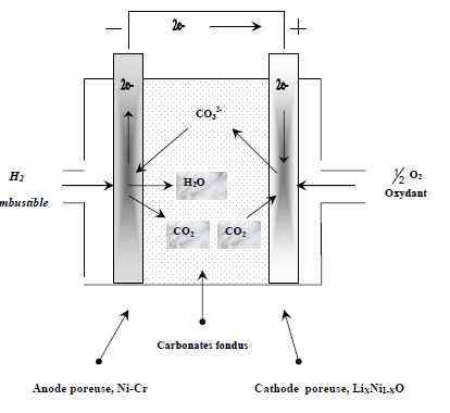 Fonctionnement Des Piles Combustible Carbonates Fon 